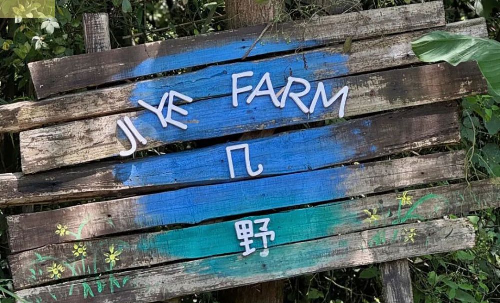 【昕升泰老钢窗】藏在安吉的法式秘境，钢窗...