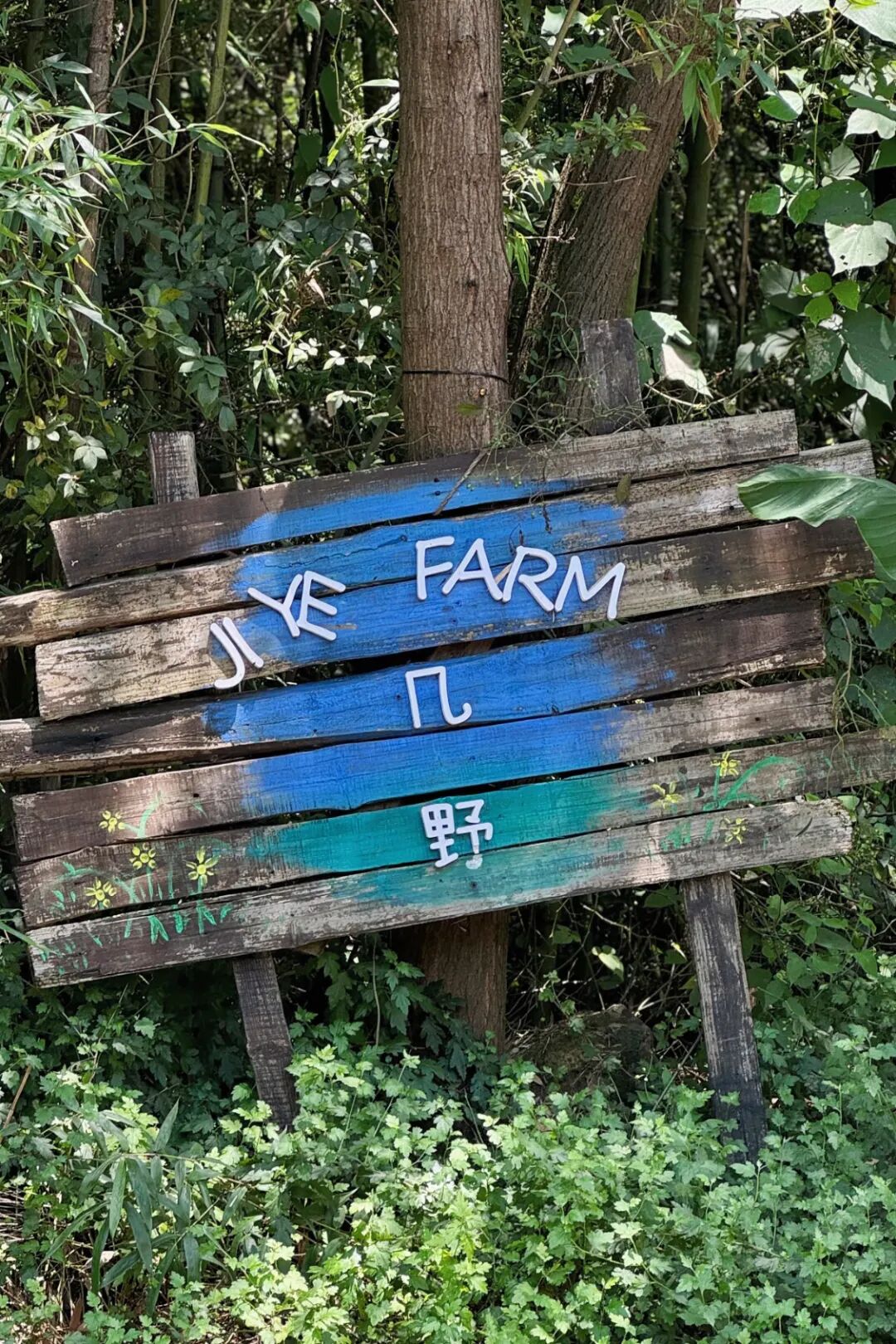 1783993477.jpg 640.jpg